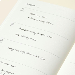 Mid Year Diaries